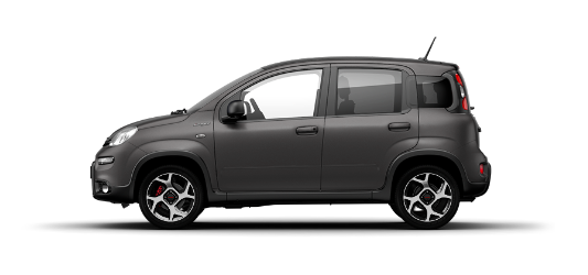 PANDA SPORT